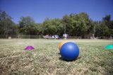 Blue Ball Among the Grass