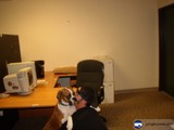 Working with My Best Friend