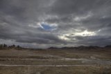Desert Serenity