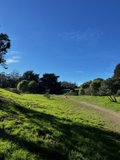 Serene Pasture in McLaren Park