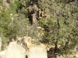 Canyon Cliff View