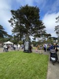 The Gathering at the Tree