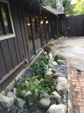 Tranquility in Nature's Backyard