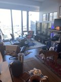 Cozy Living Room with Furry Companion