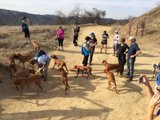 Posing with Pooches