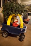 Wesley's Festive Drive: A Christmas Adventure