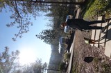 RV Camping Adventure with Dog Companion