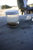 A Taste of the Sea: Hog Island Oyster Co's Jarred Delicacy, 2023