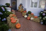 Harvest Hues: A Homestead's Halloween Welcome