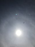 Sun-kissed Sky