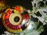 Cartoon Skateboard Splendor