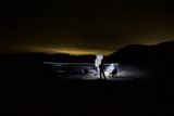 Nighttime Gathering