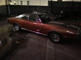 Brown Beauty in LA