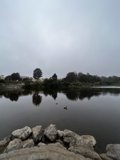 Tranquility at Mountain Lake
