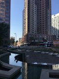 Metropolitan Oasis