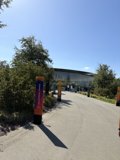 A Vibrant Day at Apple Park