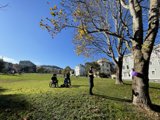 A Day in Duboce Park