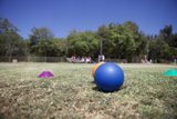 Colorful Sphere on the Grass