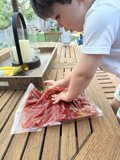 Little Chef in Action