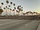 Twilight Gathering in Santa Barbara