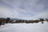 Majestic Winter Wonderland