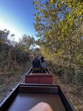 Train Ride through the Scenic Tilden Park