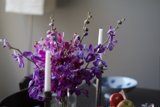 Floral Ambience