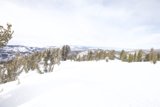 Shredding through the Powder