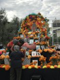 Flower Display at Grand Park