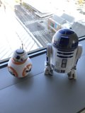 Robotic Window Watchers