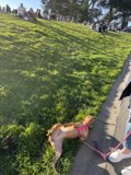 Lazy Day in the Park