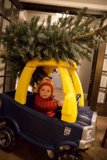 Wesley's Festive Ride