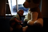 Wesley's New Furry Friend