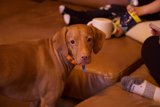 Precious Family Moments: A Relaxing Afternoon At Home