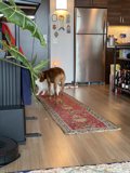 Kitchen Companion