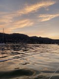 Sailboats at Sunset