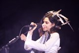 Feathers and Song