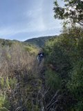 Journey through the Wilderness