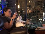 A Cozy Night In with Two Furry Friends