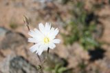 Beauty in the Rocks