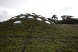 A Grass Roof with Circular Windows