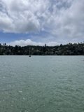 A picturesque boat ride in Raccoon Strait