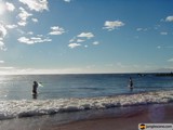 Surfing in Paradise