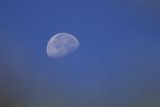 Serenity of the Daytime Moon