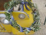 Olive Branches on the Go