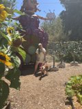 Woman and Dog Enjoying Art in a Park Garden