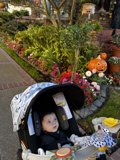 Baby's Day Out