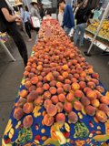 Bountiful Peaches at the Ferry Building Market