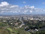Overlooking the Urban Jungle
