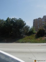 Cruising down the Highway